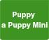 Hills Canine Puppy Lamb&Rice 3 kg 