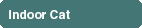 Indoor Cat