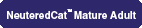 Neutered Cat Mature Adult