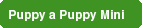 Puppy a Puppy Mini